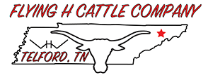 Flying H Cattle Company logo